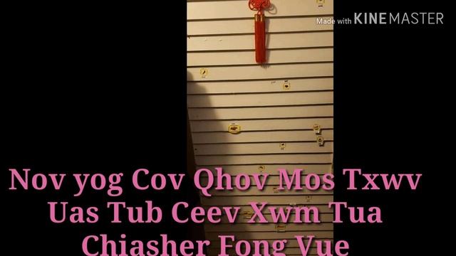 Xov Xwm Hais Txog Chiasher Fong Vue Raug Minneapolis Police Tua Tag Sim Neej 12/15/19 смотреть онлайн