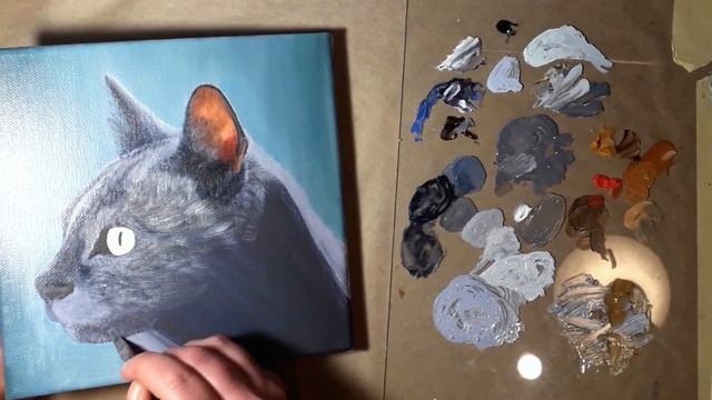 Painting a grey cat in OIL /// Realistic painting timelapse смотреть онлайн