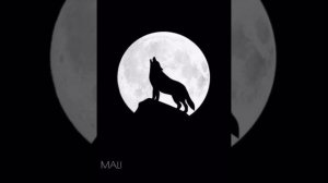 Красивый нашид - Курани 💥