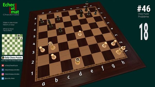 #46 Daily Chess Puzzle [mate in 1 move] Problem with 3D solution | Checkmate смотреть онлайн