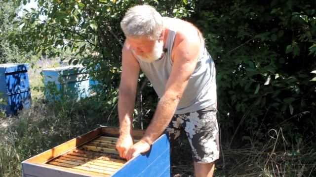 КАК ПОДСТАВИТЬ ВОЩИНУ ЧТОБ НЕ ПОЛУЧИЛАСЬ ПЕРЕГОРОДКА. Пчеловодство 2020. Пчеловодство для начинающи смотреть онлайн