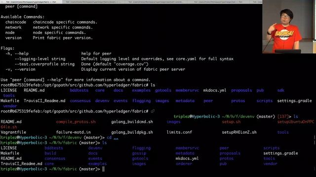 HyperLedger Project: Updates from the Blockchain - GeekCampSG 2016 смотреть онлайн