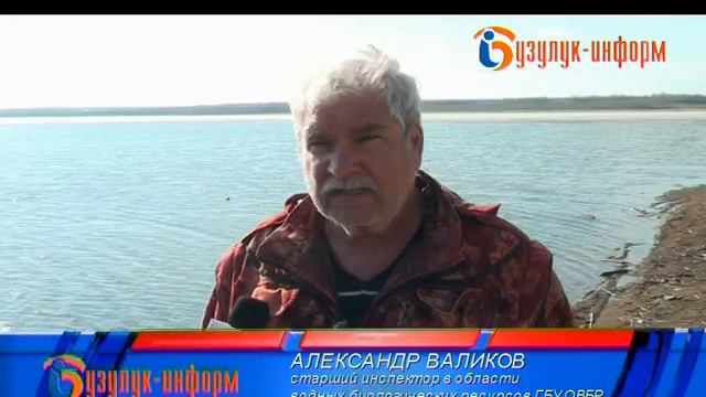 Никаких машин у берега! смотреть онлайн