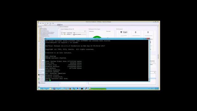 NiCE Oracle MP Solution Demo 2017Q3 смотреть онлайн