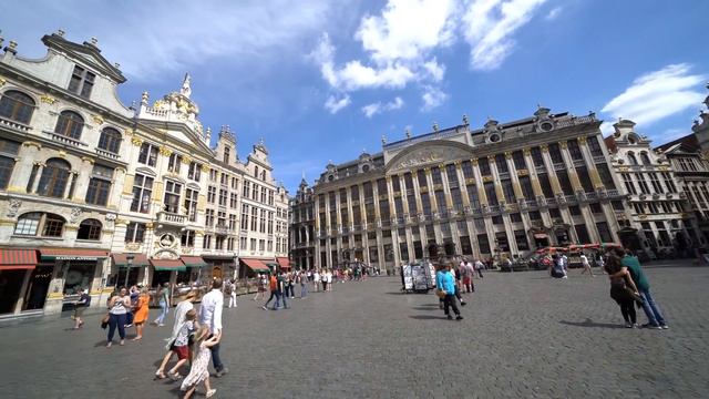 Sony FE 12 24mm F4 G смотреть онлайн