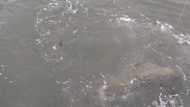 ловля тайменя на силикон смотреть онлайн