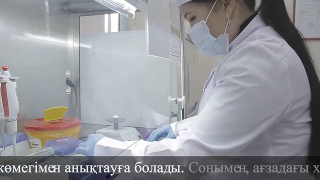 Методика выполнения ПЦР детекции смотреть онлайн
