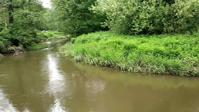 Россия урмонлари манзарасини тамоша килиб ором олинг