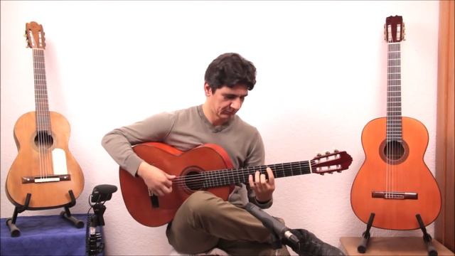 Ricardo Sanchis Carpio 1a 1988 flamenco guitar смотреть онлайн