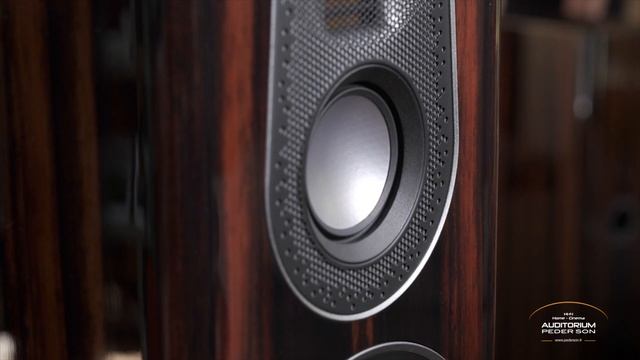 Interview Delphine Dall Monitor Audio présentation gamme GOLD (5ème) смотреть онлайн