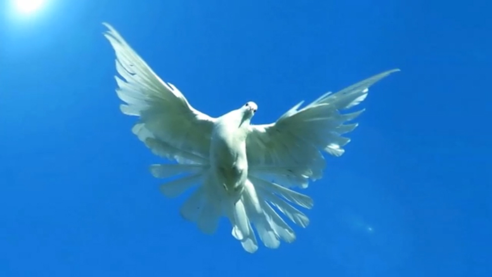 АНГЕЛ Олег Скобля смотреть онлайн