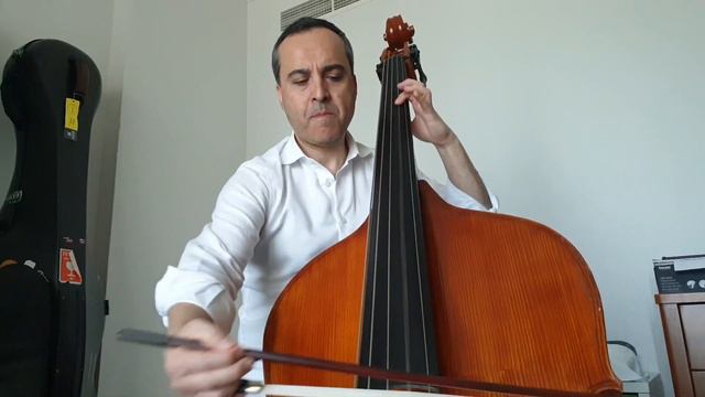 Beethoven - Symphony n.9 (Recitative&Theme) on new Roberto Paol'Emilio 5 String Bass смотреть онлайн