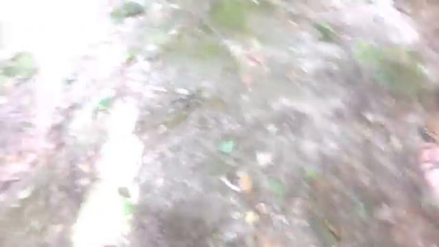 лягушки нападают или жабки во львове смотреть онлайн