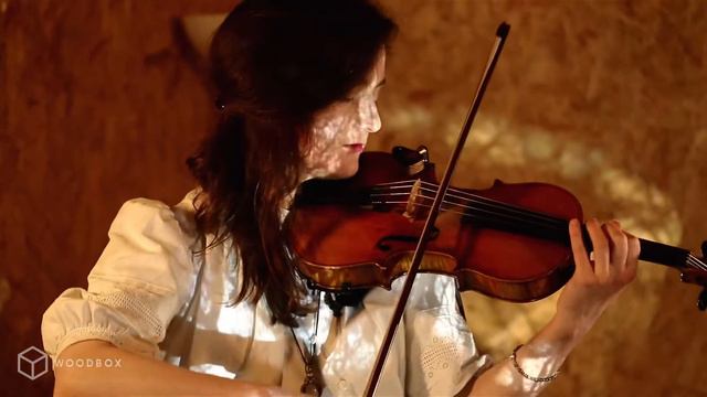 Stantz - In Praise Of Shadows - Woodbox Session (Bristol Live Music)