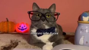 ЕСЛИ БЫ КОТИКИ ХОДИЛИ В ШКОЛУ - ПРИЗЫВАЕМ ПРИЗРАКОВ НА ХЭЛЛОУИН НАОБОРОТ ( ориг. видео в описании)