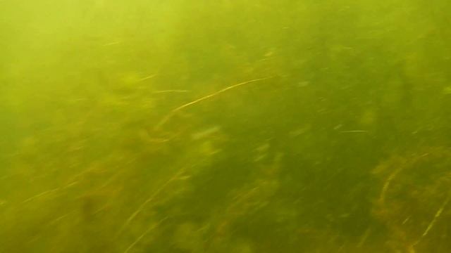 Петергоф 07.07.13 с Артиком смотреть онлайн