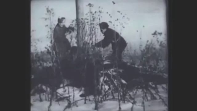 Кинохроника. Партизаны в тылу немцев, Брянск 1943. Partisans In The Rear Of The Germans, Bryansk