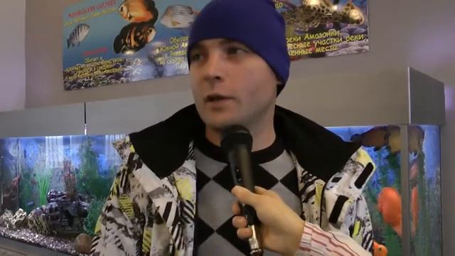Маринс Парк Отель Н.Новгород - Все стоит, все есть смотреть онлайн