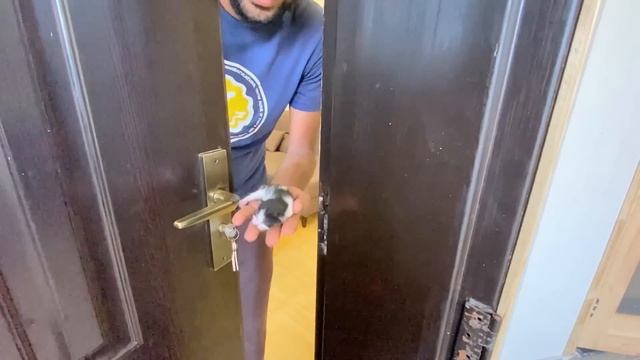 Mubark ho Blacky Ny Bachy De Dye😍 смотреть онлайн