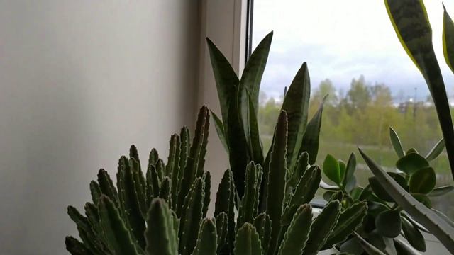Перезагрузка! смотреть онлайн