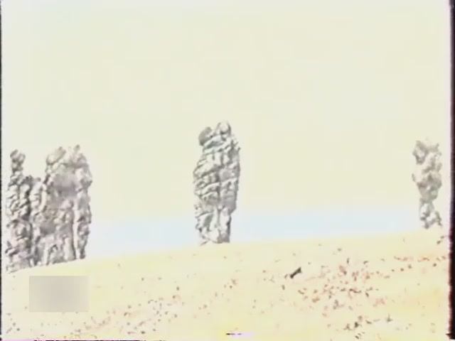 Начальные классы. Флора и фауна Земли. Секреты тайги