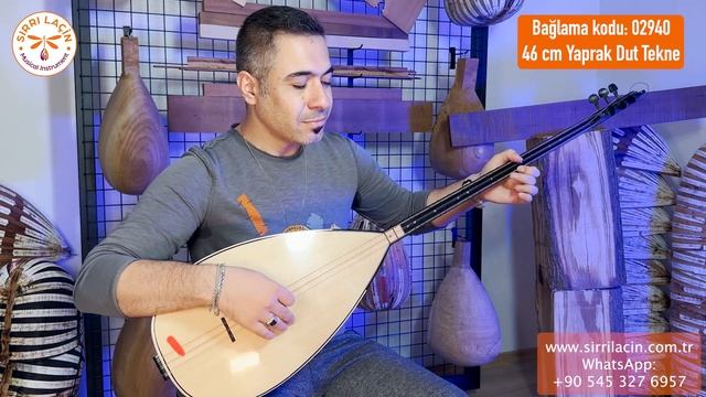 BİR ANADAN DÜNYAYA GELEN YOLCU (Bağlama Kodu; 02940)