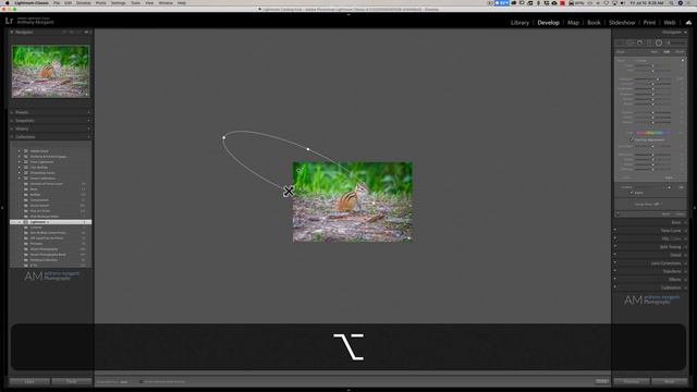 RELIGHT the SCENE in LIGHTROOM смотреть онлайн