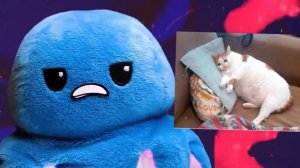 Спрутель вернётся! Скоро? УЖЕ ЭТОЙ ОСЕНЬЮ?!#сливы #НЕэксклюзив #СПРУТЕЛЬ