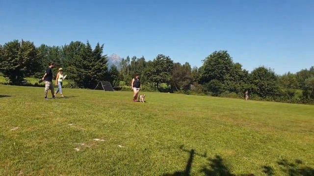 20190629 Nina IBGH1 смотреть онлайн