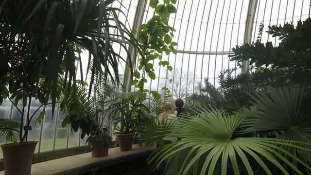 Куда пойти в Лондоне. Королевский ботанический сад Kew Gardens. смотреть онлайн