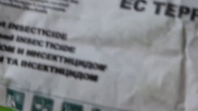 Как определить подделку ЕВРАЛИС? смотреть онлайн