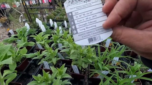 Shopping/Tour at the Garden Center! ??? // Garden Answer смотреть онлайн