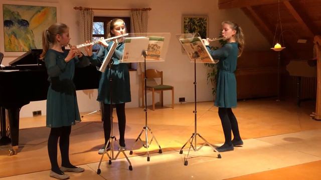 Klassenvorspiel Querflöte 19 3 2017 Scherer Teil 2 смотреть онлайн