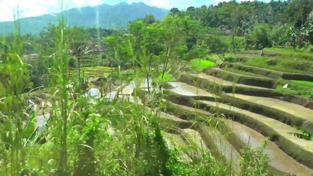 INDONESIA train Bandung to Tasikmalaya, Java (hd-video) смотреть онлайн