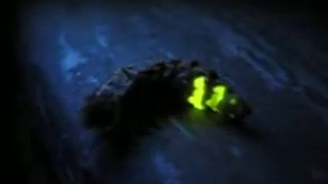 Glow worm светлячок.avi смотреть онлайн