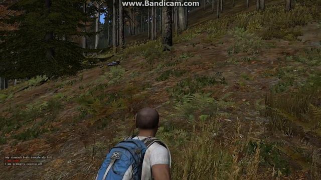 как то раз, пошли мы с Димой по грибы и.... смотреть онлайн