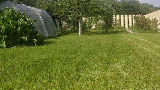 Бюджетный газон за 2000 руб! смотреть онлайн