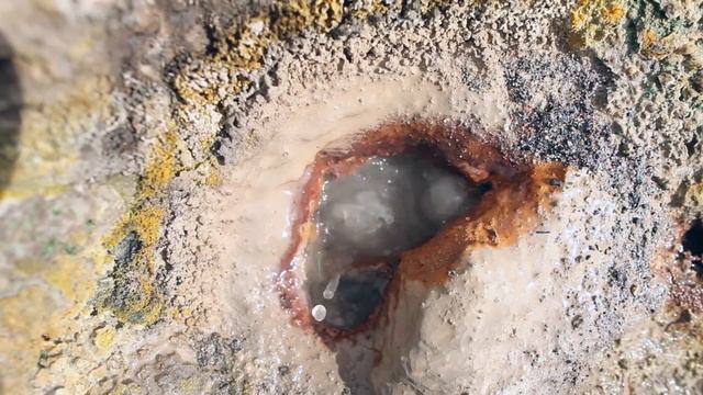 Камчатка, экстрим: кому в аду жить хорошо // Всё как у зверей #81 смотреть онлайн