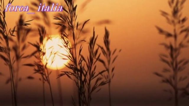 Лили Иванова и Асен Гаргов - Късен стих смотреть онлайн