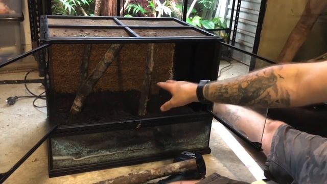 HOW TO BUILD A BIOACTIVE EXO TERRA GREEN TREE PYTHON ENCLOSURE! смотреть онлайн