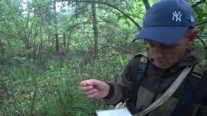 Рыбалка на Хариуса: Красноярские Столбы, река Базаиха