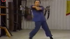 2-я форма в Вин Чун - Чам Киу | Wing Chun Form Cham Kiu