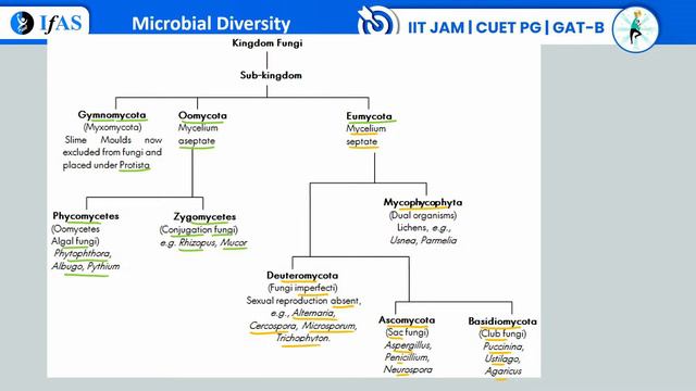 Microbial Diversity | Microbiology | GAT - B, CUET PG Biotechnology - 2024 | L - 08 | IFAS смотреть онлайн