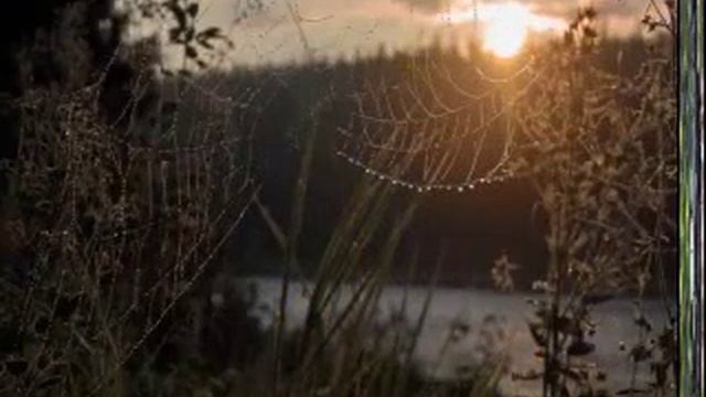 Есть только миг.wmv смотреть онлайн
