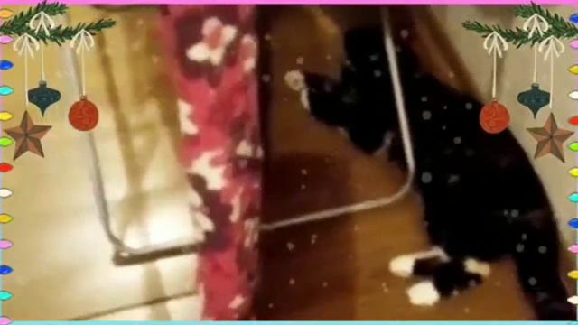 ❄️Winter❄️ Все мы любим Зиму? смотреть онлайн