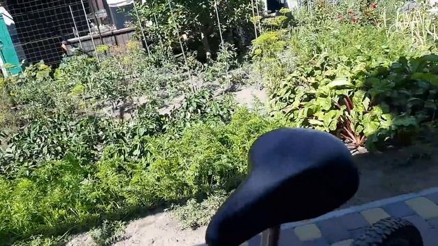 ТО СОЛНЦА НЕ ХВАТАЕТ- ТО УМА/НЕ ИЩИ ПРИЧИНУ- ОНА САМА ТЕБЯ НАЙДЕТ/