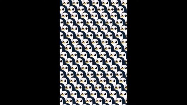 Когда будет 200 пподписок будет коннкурс смотреть онлайн