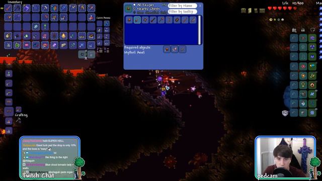 DISCOVERING A WAIFU!! // Calamity Expert Playthrough // Ep. 28 // Terraria 1.3.5 смотреть онлайн