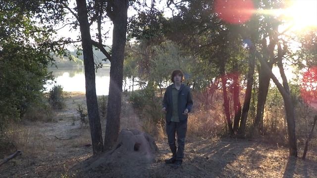 Wild Zambezi - 4K Full Documentary