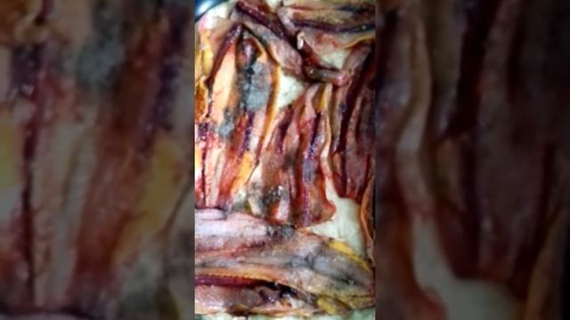 Пирог со стерляди-рыбный смотреть онлайн